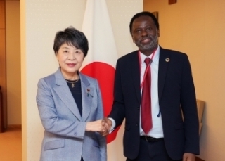 © Ministry of Foreign Affairs of Japan