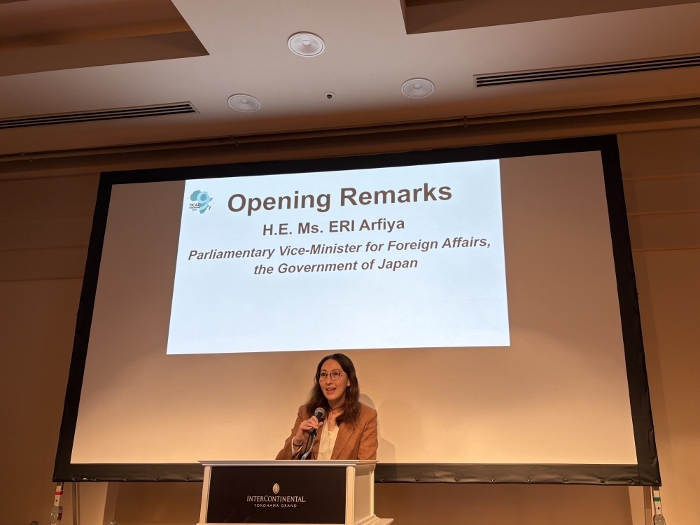 © Ministry of Foreign Affairs of Japan