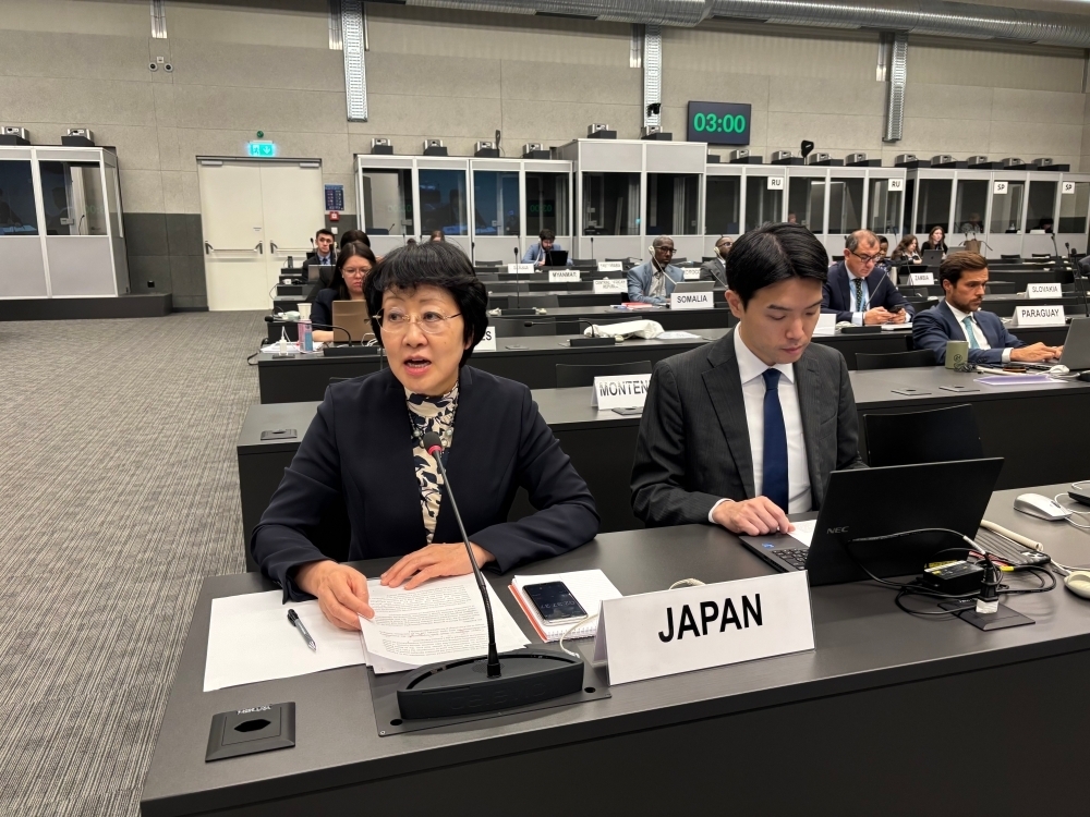 © Ministry of Foreign Affairs of Japan