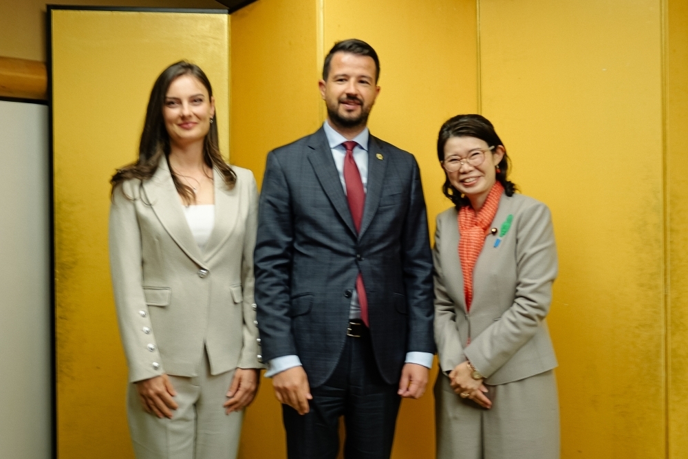 © Ministry of Foreign Affairs of Japan