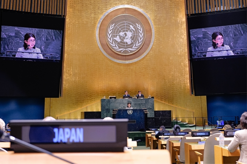 © Ministry of Foreign Affairs of Japan