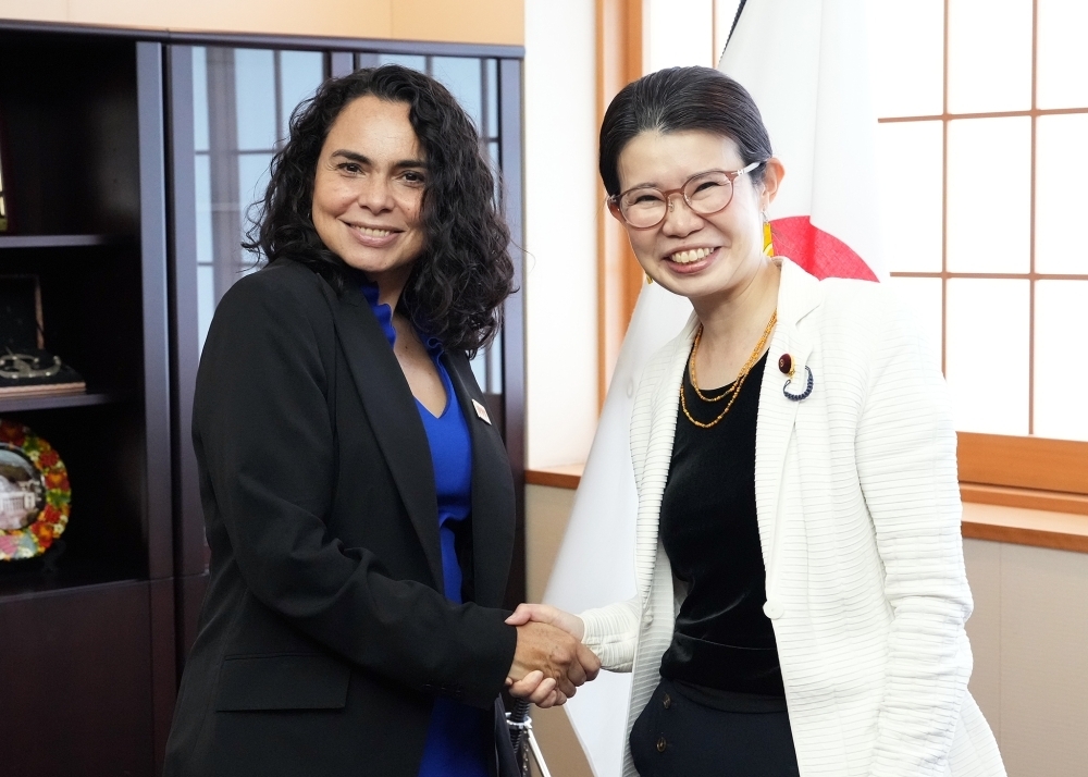 © Ministry of Foreign Affairs of Japan