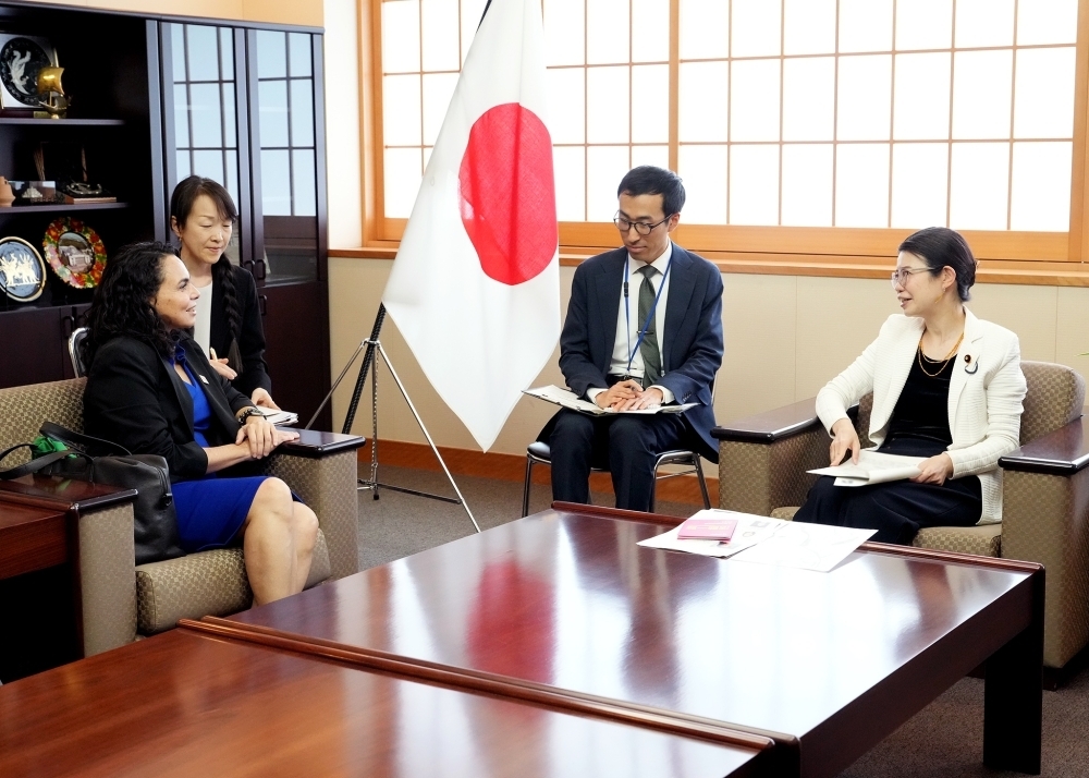 © Ministry of Foreign Affairs of Japan