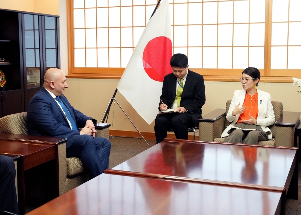 © Ministry of Foreign Affairs of Japan