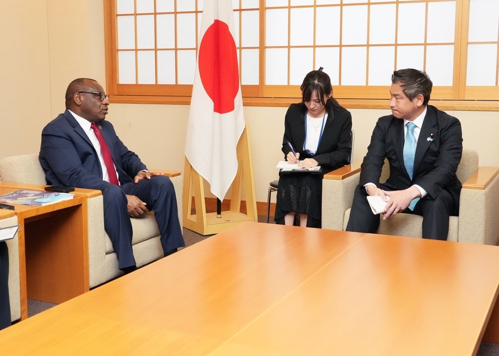 © Ministry of Foreign Affairs of Japan
