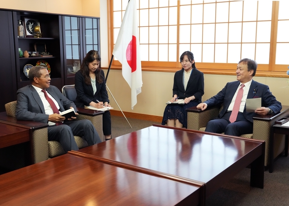 © Ministry of Foreign Affairs of Japan
